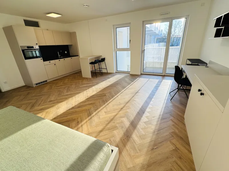 Modernes großzügiges Süd-Balkon Apartment möbliert mit Abstelkammer und Waschmaschinenanschluss! — photo 1